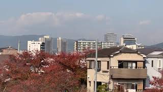 高槻市  津之江公園  庄所町  寿限無