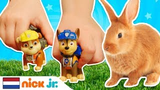 Paw Patrol zorgt voor ontsnapping van konijntje | Toy Farm | Nick Jr.