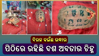 ରାୟଗଡା ଜିଲ୍ଲା ମିନାଝୋଲା ଶୈବପିଠ ନିକଟ ଜନ କଲ୍ୟାଣ ଆଶ୍ରମ ନିକଟରୁ ଏହି ବିରଳ ପ୍ରଜାତିର କଇଁଛକୁ ଦେଖିବାକୁ ମିଳିଛି