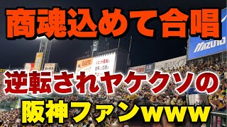 【阪神ファン大合唱】巨人に3点差逆転された後のヤケクソの商魂込めてがやばかったw 【ウル虎の夏】2023年7月26日 阪神対巨人