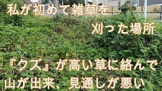 神奈川県・厚木市・愛川町・鳶尾山・・私、昔から草刈り好きなんです