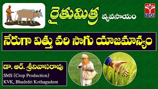 రైతుమిత్ర వ్యవసాయం | నేరుగా విత్తు వరి సాగు యాజమాన్యం || డా.ఆర్.శ్రీనివాసరావు || T-SAT || 05.06.2023