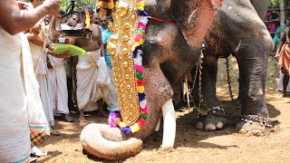 Kerala Elephant Chalukuthu 2017 Painoor Padam - Arattupuzha Pooram 2017