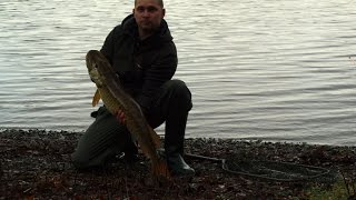 Loch Awe big pike fishing sport winter time Scotland  Szczupak w Szkocji