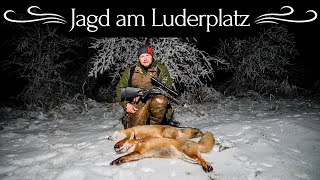 Luderplatz einrichten & Fuchsjagd am Luderplatz - Im Winter! #nordjagd