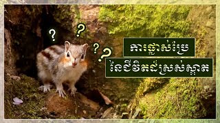 [FactPlus] ការផ្លាស់ប្រែនៃជីវិតដ៏ស្រស់ស្អាត | សមាគមផ្សព្វផ្សាយពិភពលោក ពួកជំនុំនៃព្រះ