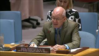 UN Security Council discusses 2020 elections in Somalia (21 Nov. 19)