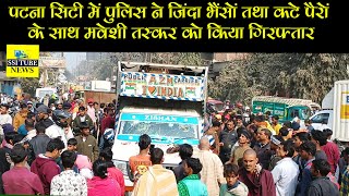 पटना सिटी में पुलिस ने जिंदा भैंसों तथा कटे पैरों के साथ मवेशी तस्कर को किया गिरफ्तार #brekingnews