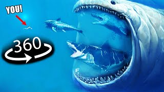 360° - Sea Monsters Size Comparison | 3D Virtual Reality Experience
