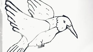 How to draw a Tit