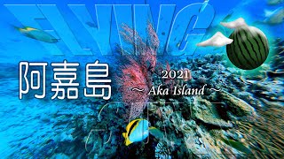 【ドローン 空撮 4K60fps】沖縄 慶良間 阿嘉島 2021：Drone Aerial Okinawa Kerama AKA Island 2021