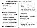 8L Endocrine Pancreas