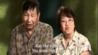 Petfinder Episode 4