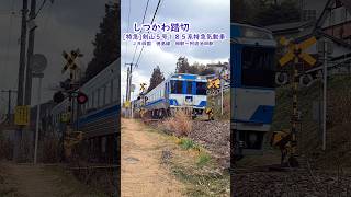 【踏切】しつかわ踏切　[特急]剣山５号１８５系特急気動車（JR四国 徳島線）  #jr四国 #踏切 #剣山 #特急列車  #train #四国旅客鉄道 #185系