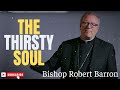 bishop robert barron the thirsty soul