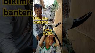 Bikin ekor Bantengan #diy #bantenganmalang #bantenganindonesia #mberot #senibudaya #kreatif #asik