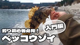 昼でも釣れる！宮城のベッコウゾイ釣り入門