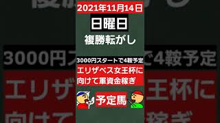 [複勝転がし]2021年11月14日日曜日複勝転がし予定馬です。