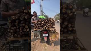 కర్ర పెండలం Manihot Esculenta #teluguadventureandtravelers #ytshorts #shortfeeds