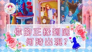 【塔羅占卜】愛情／你的正緣到底何時出現呢？Feat.The alice tarot 2/瑰密拉月老