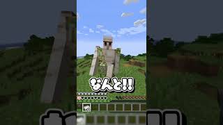 【マイクラ】あなたは嘘が見破れるか!?マイクラ常識クイズ!!part6#マイクラ #minecraft