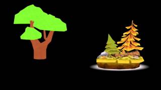 WebGL Model loading and display