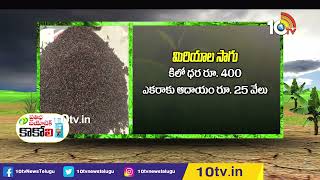 ఆయిల్ ఫామ్‎లో అంతర పంటల సాగు | Cultivation of intercropping in oil farm | Matti Manishi | 10TV Agri