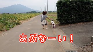 【1歳11ヶ月】母が子を救うここ一番の動き【自然体・垂れ流し】