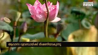 വെള്ളായണിക്ക് ഭീഷണിയായി താമരക്കൂട്ടം | Vellayani Lake Lotus