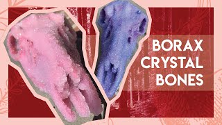 DIY Borax Crystal Bones