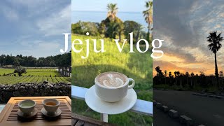 노니구 vlog | 🍊제주 브이로그, 서귀다원, 유채꽃밭뷰 카페, 휴애리, 힐링 제주 1편