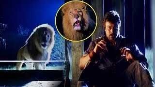 Chiranjeevi Lion Fight Scene || Telugu Scenes || Telugu Videos