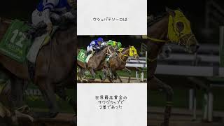 伝説の名馬たち(ウシュバテソーロ)                       #競馬#ウシュバテソーロ#ダート#サウジカップ