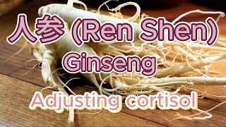 Ren Shen (Ginseng) - TCM herb in Shang Han Lun