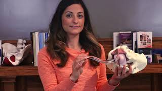 Internal manual therapy for pelvic pain in men using a pelvic wand #pelvicfloor