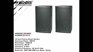 Soundplay WISDOM DP-R212 #wisdom #soundsystem #speaker