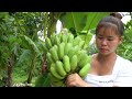 harvesting many guava fruit and banana go to market sell a strong horse. ly tieu toan