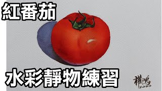 輕輕鬆鬆學水彩--第11課-紅番茄(牛頓學生用水彩，法國Arches水彩紙)/停課不停學(停课不停学)/居家學習/居家学习