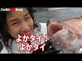 【土砂降りは釣れる】演歌歌手･出光仁美さんが駿河湾マダイダービーに挑戦【沼津久料・魚磯丸】