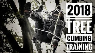 DMM Captain Hook / Tree Climbing Training  / Bulldog Bone / Tree Traverse / GoPro