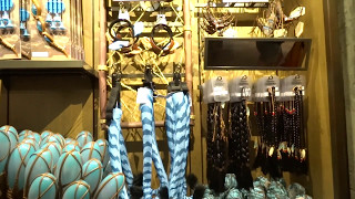 Disney's Pandora World Of Avatar Windtraders Merchandise Location Tour Cast Member Preview