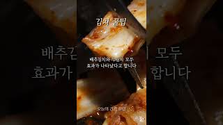 [오건강 꿀팁] 복부 비만에 좋은 김치