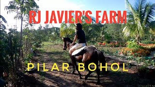 RJ JAVIER'S FARM PILAR BOHOL/by TerryBurst