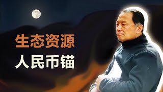 温铁军：人民币如何回锚，找到新的价值载体？