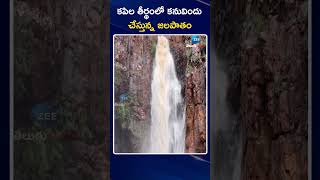 Kapila Theertham Water Fall Beautiful Visuals | కపిల తీర్థంలో కనువిందు చేస్తున్న జలపాతం | ZEE News