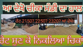 PR 114 paddy jiri price today || PR 14 ਜੀਰੀ ਰੇਟ 2300 + ||