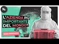 L'economia mondiale dipende da questa singola azienda?