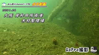 【170】大阪 岸和田阪南港 木材整理場／水中カメラで釣り場の海中撮影