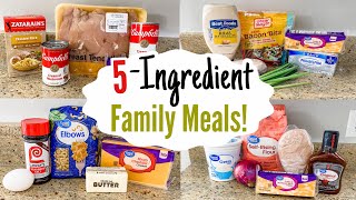 The EASIEST 5-Ingredient Family Meals! | 5 Quick & EASY Tasty Dinner Recipes! | Julia Pacheco