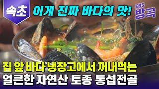 [강원 속초] 이게 진짜 바다의 맛! 속초 앞 바다 냉장고에서 꺼내먹는 진짜 자연산 토종 홍합, 섭으로 만든 얼큰한 통섭전골 | #맛터사이클 #방방곡곡